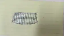 Windshield screen