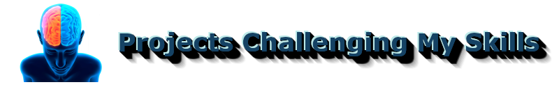 projects challenging my skills